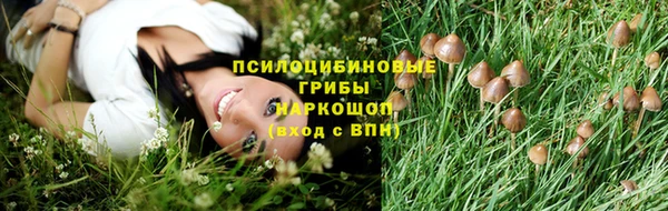 ГАЛЛЮЦИНОГЕННЫЕ ГРИБЫ Алексеевка